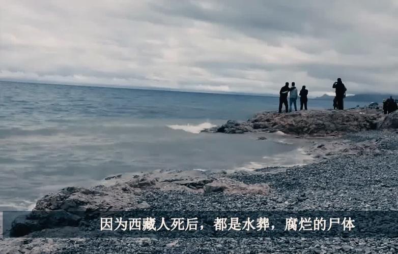澳门开奖结果+开奖记录表生肖和英国推动水葬合法化与英国推动水葬合法化的原因