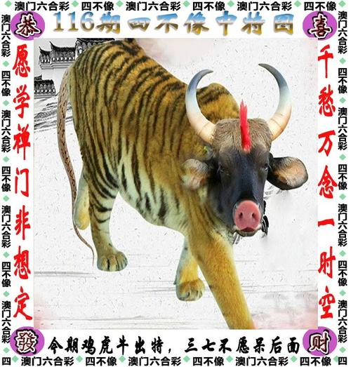新澳门4949最新开奖记录和王皓考编已通过笔试与