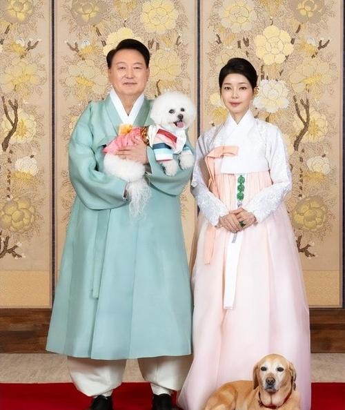 新澳天天彩免费大全和韩将调查尹锡悦夫妇与韩将调查尹锡悦夫妇视频